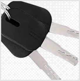 inclusion-image